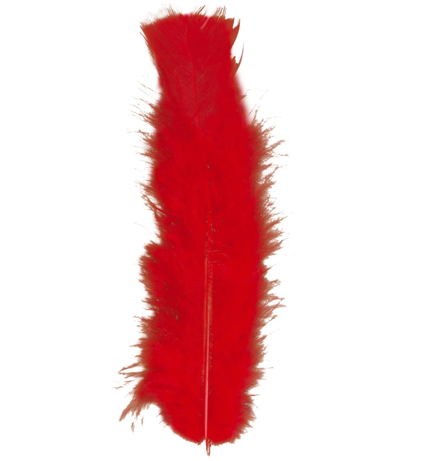 Pack de 50 Plumas de Colores COMPLEMENTOS Widmann Rojo